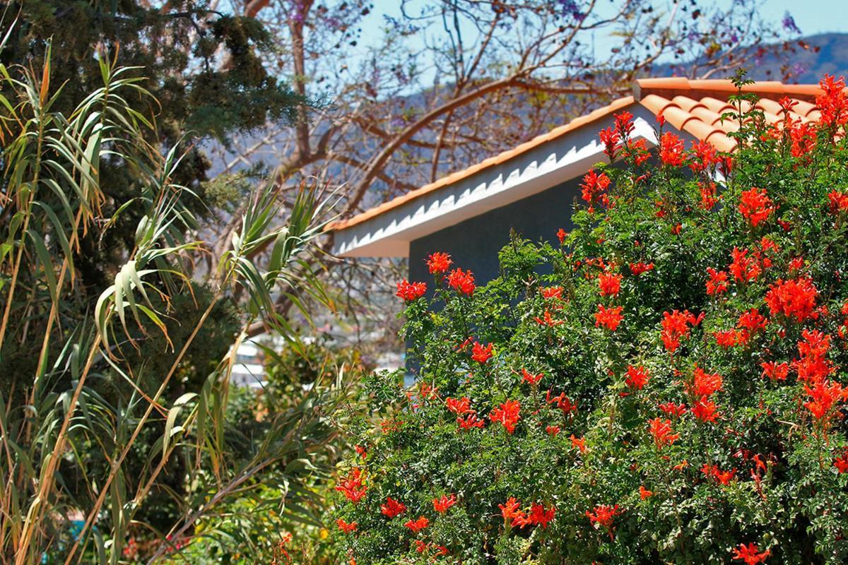Casa Esther El Paso Eksteriør billede